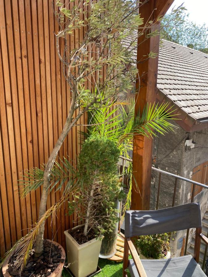Charmant Appartement Annecy Apartment *